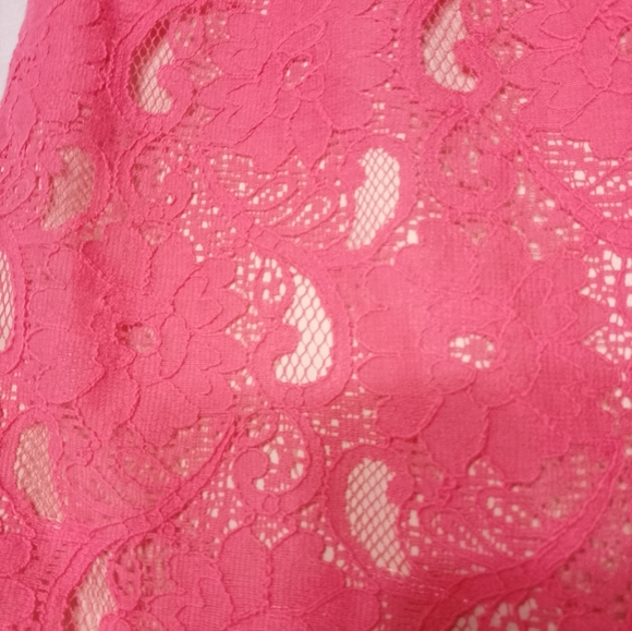 NWT H&M Pink Lace Zip Back Skirt - Picture 2 of 6